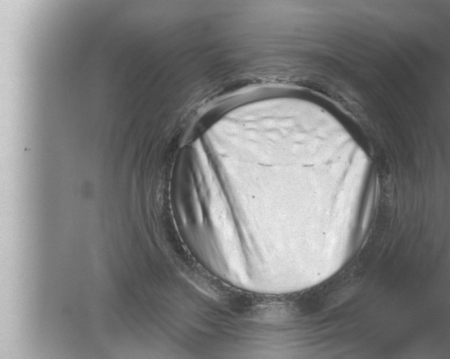 X0000080150499200612302131