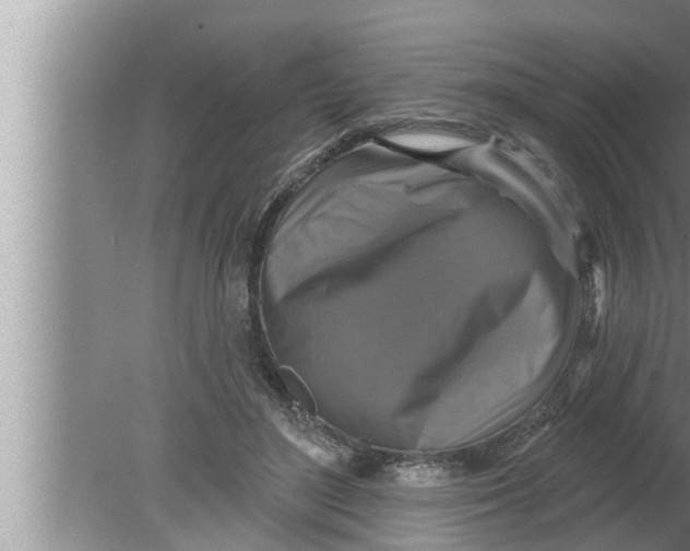 X0000080150500200612302131