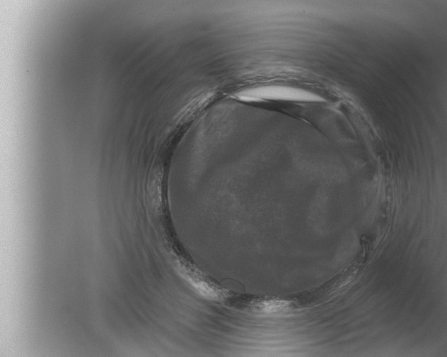 X0000080150501200612302131