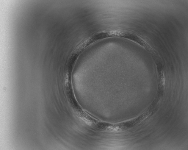 X0000080150502200612302131