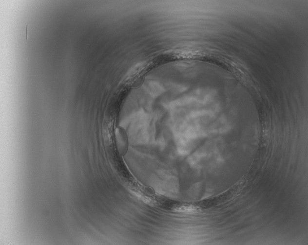 X0000080150503200612302131