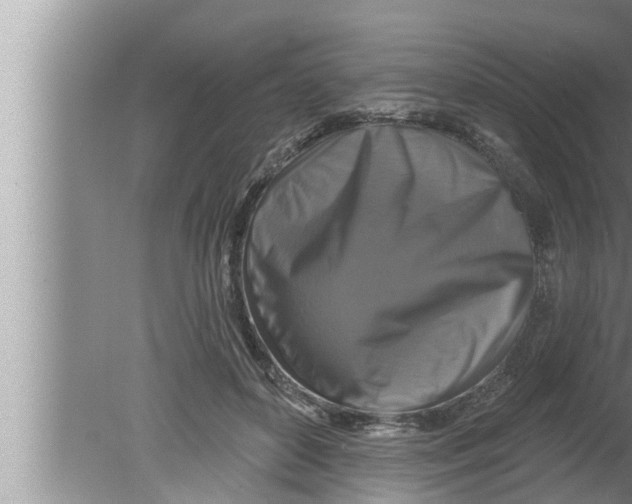 X0000080150504200612302131