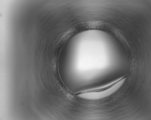 X0000080150505200612302131