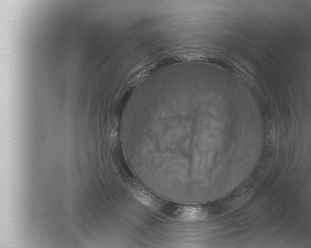 X0000080150507200612302131