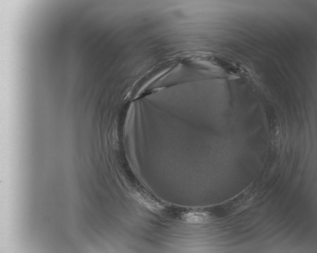 X0000080150508200612302131