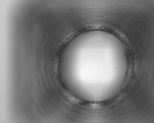 X0000080150509200612302131