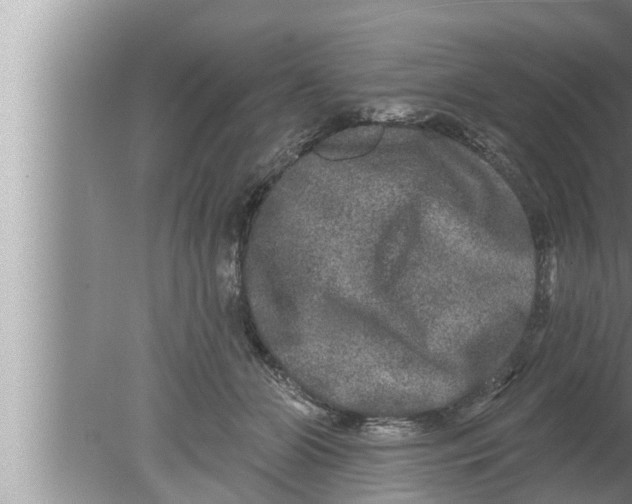 X0000080150510200612302131