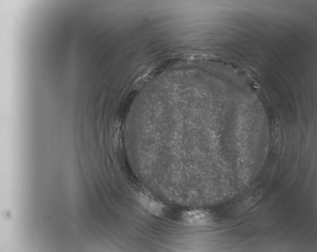 X0000080150511200612302131