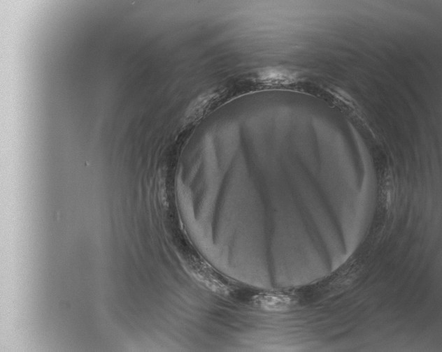 X0000080150512200612302131