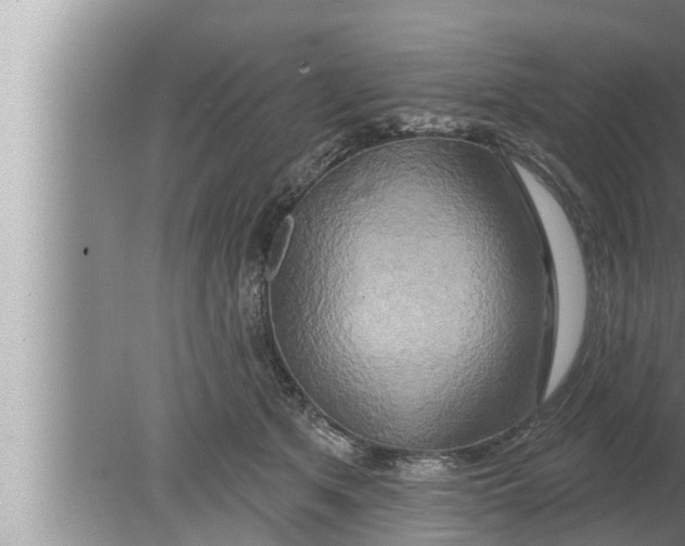 X0000080150513200612302131