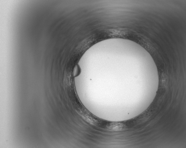 X0000080150514200612302131