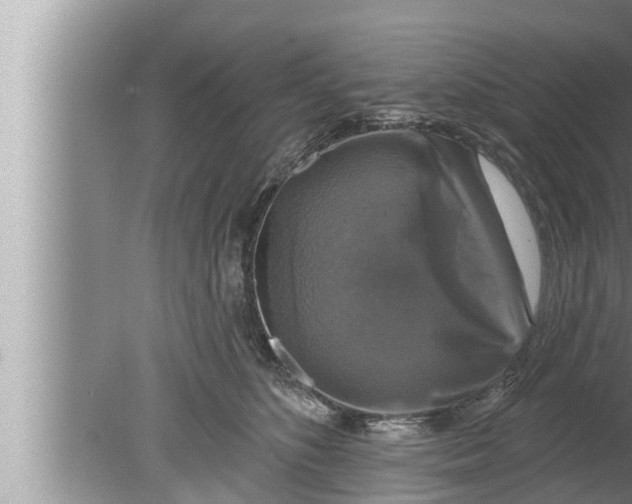 X0000080150516200612302131