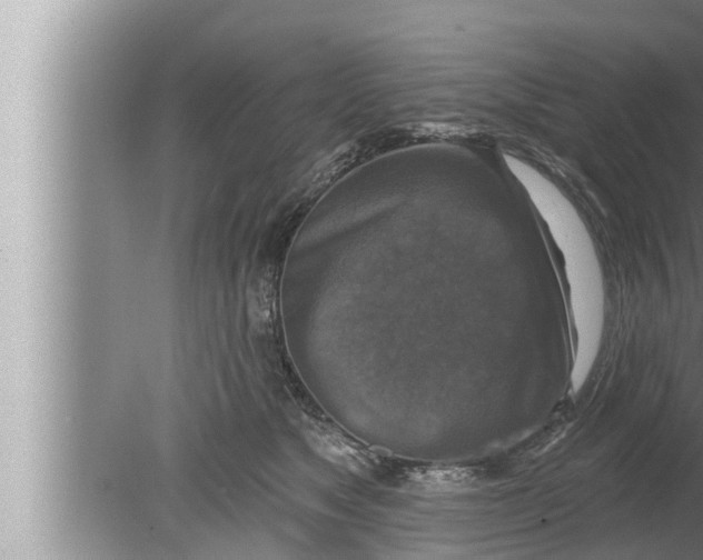 X0000080150517200612302131