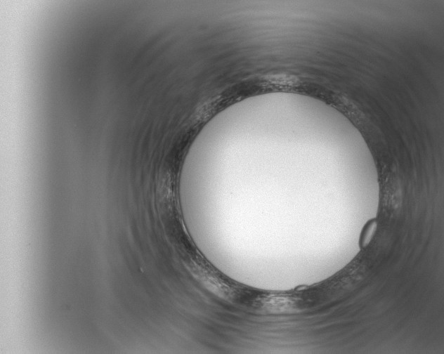 X0000080150518200612302131