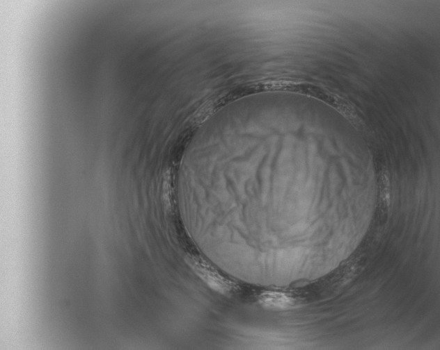 X0000080150519200612302131