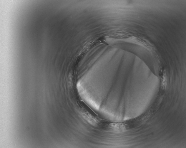 X0000080150520200612302131