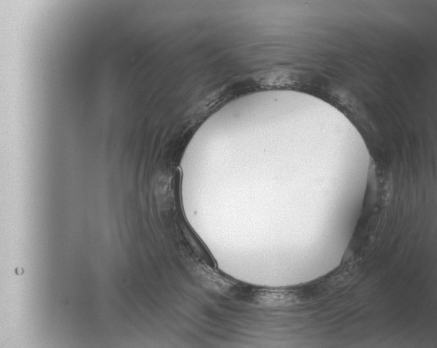 X0000080150521200612302131