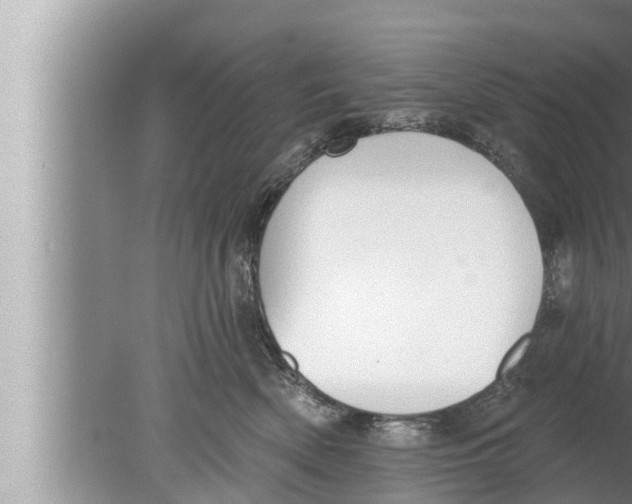 X0000080150522200612302131