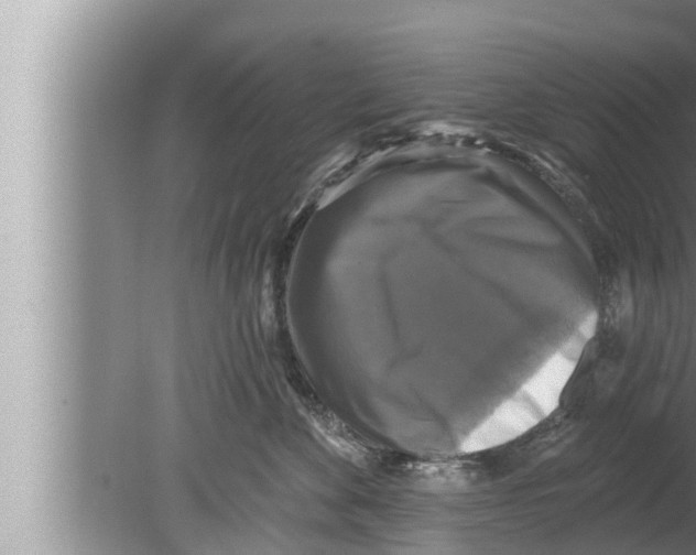 X0000080150524200612302131