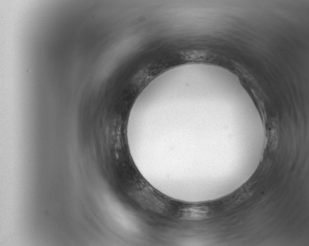 X0000080150525200612302131