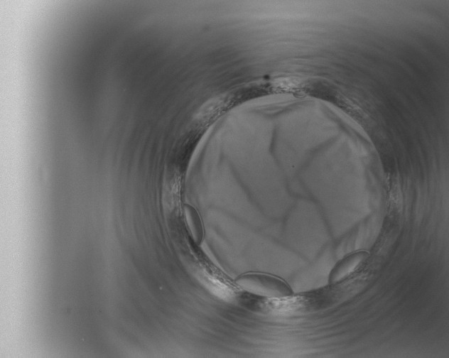 X0000080150526200612302131