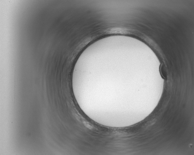 X0000080150529200612302130