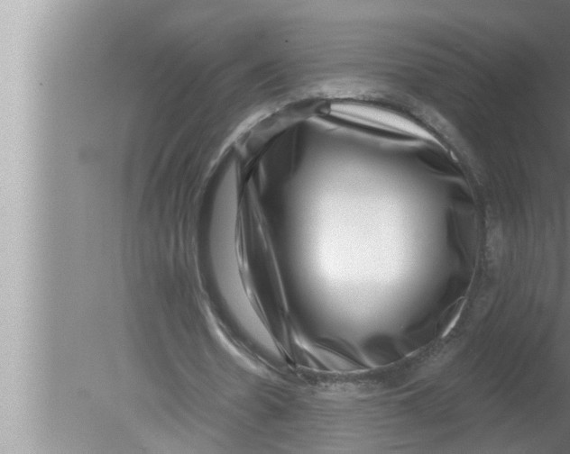 X0000080150530200612302130