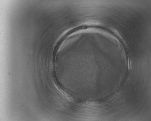 X0000080150531200612302130