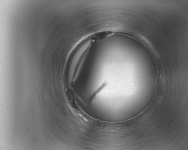 X0000080150532200612302130