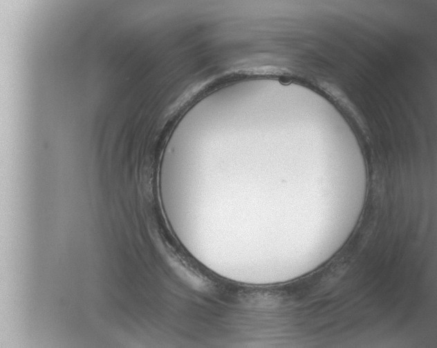 X0000080150533200612302130