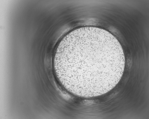 X0000080150534200612302130