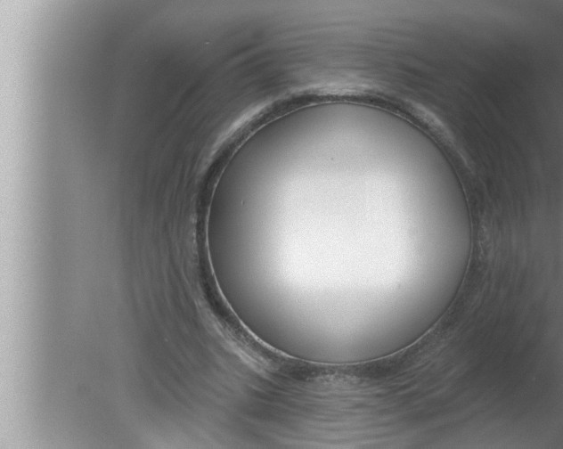 X0000080150535200612302130