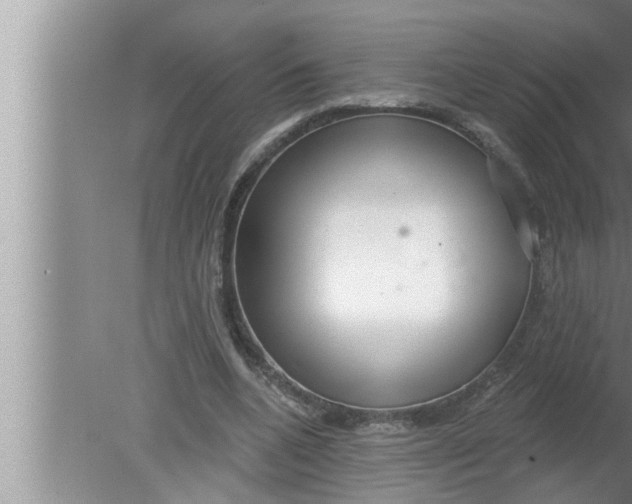 X0000080150536200612302130