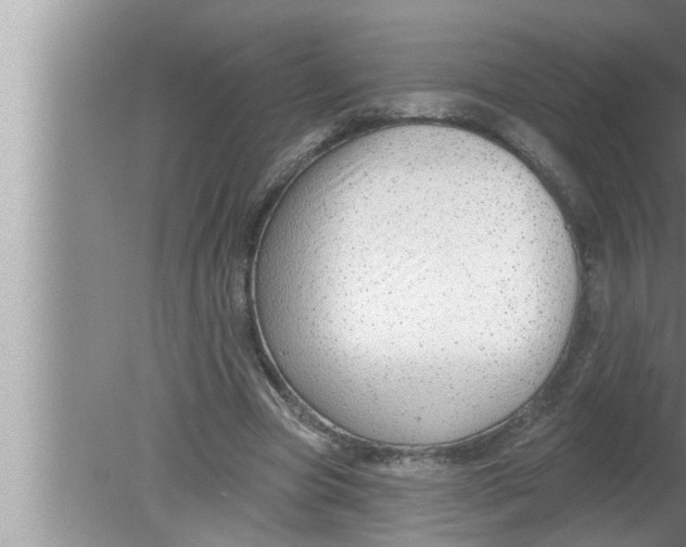 X0000080150537200612302130