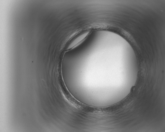 X0000080150538200612302130