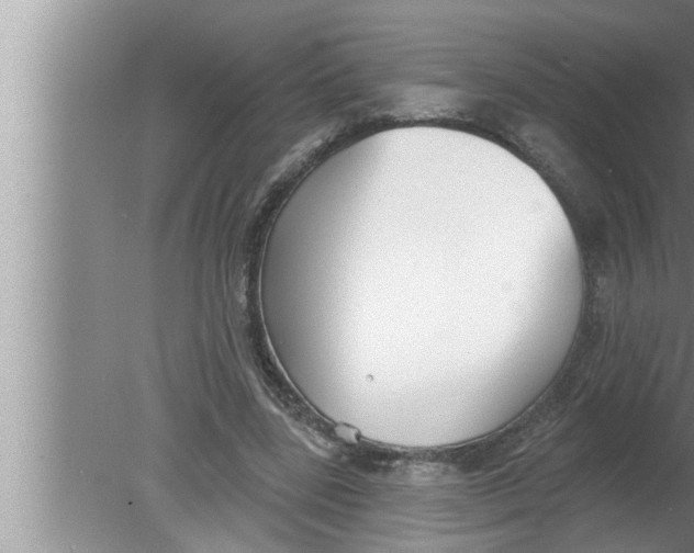 X0000080150539200612302130