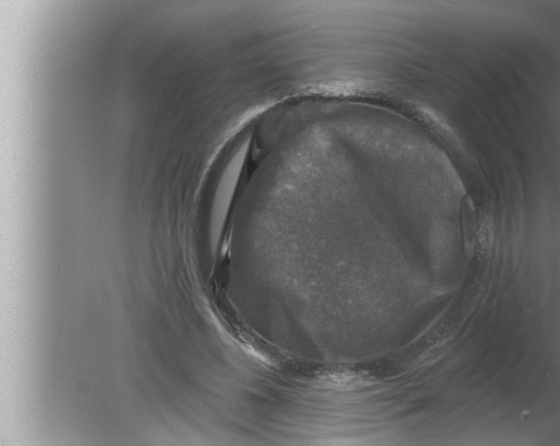 X0000080150540200612302130