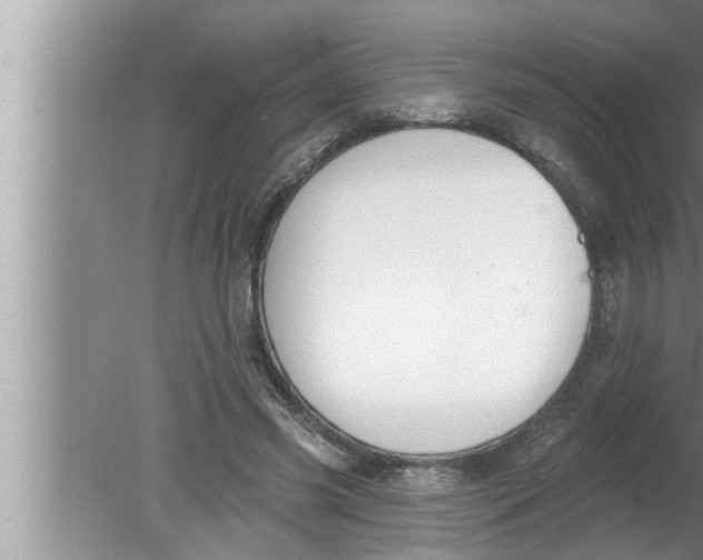 X0000080150541200612302130