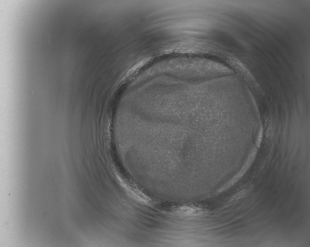 X0000080150542200612302130