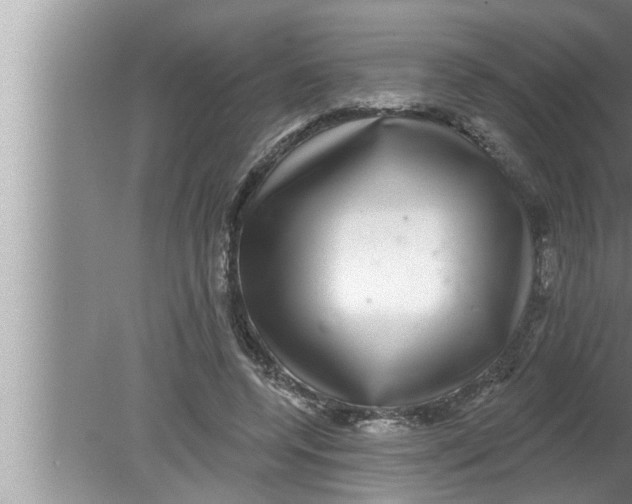 X0000080150544200612302130