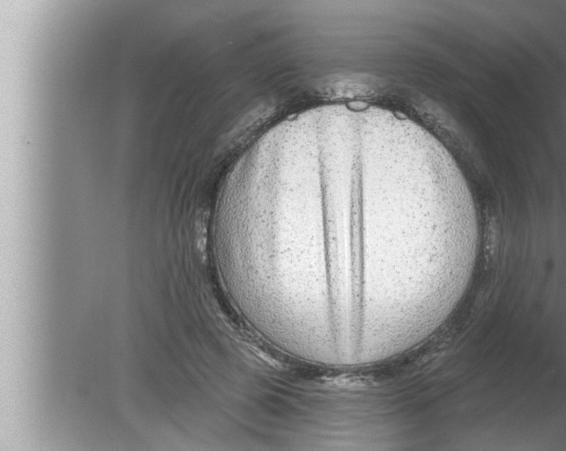 X0000080150545200612302130