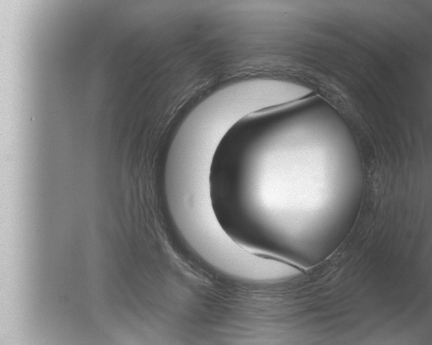 X0000080150546200612302130