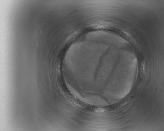 X0000080150547200612302130