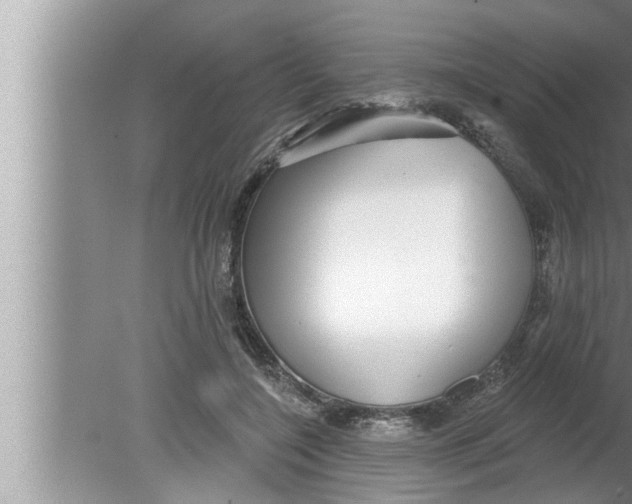 X0000080150548200612302130