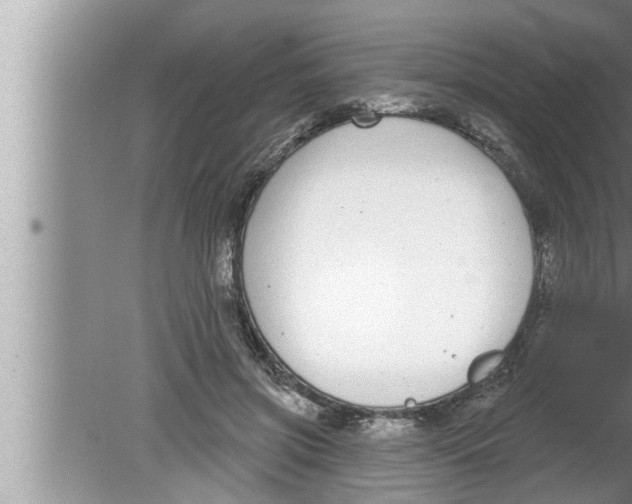 X0000080150549200612302130