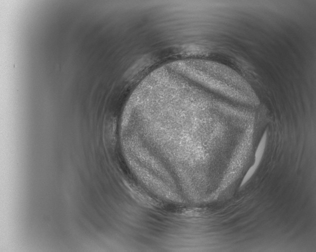 X0000080150550200612302130