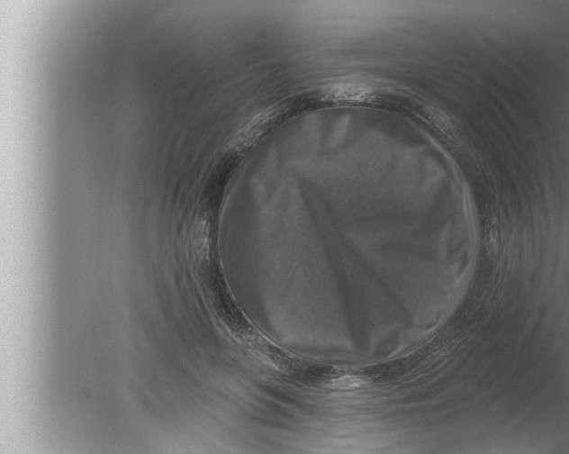 X0000080150551200612302130