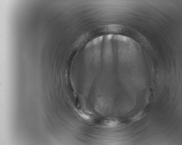 X0000080150552200612302130