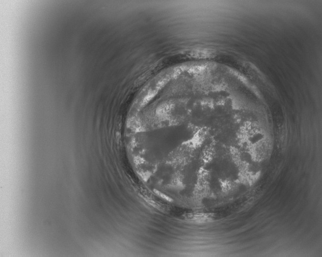 X0000080150553200612302130