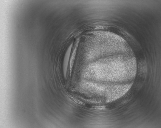 X0000080150554200612302130